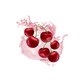 Splash Image
