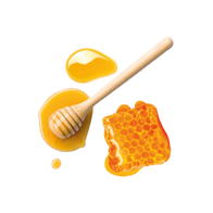 Pure Honey / 30g Probe