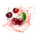 Iced Tea Style Cherry White Tea / 600g