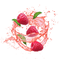 Lemonade Style Raspberry Mojito / 600g