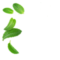 Mint / 30 x 5g