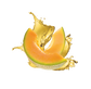 Splash Image