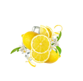 Lemonade Style Summer Lemon / 600g