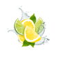 Splash Image