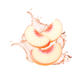 Splash Image