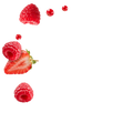 Red Berries / 30 x 4g