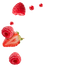 Splash Image