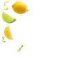 Splash Image