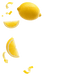 Splash Image