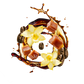 Splash Image