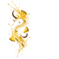 Splash Image