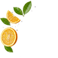 Splash Image