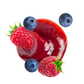 Splash Image