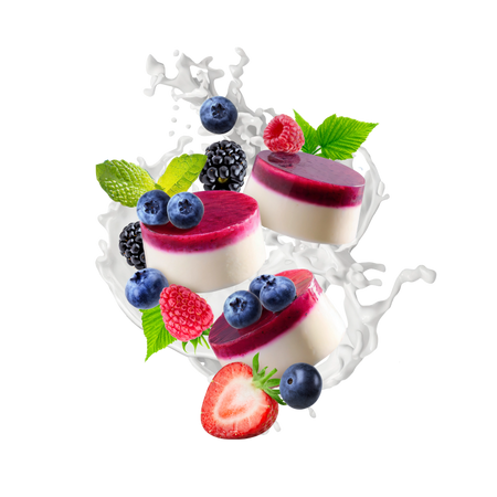 Splash Image