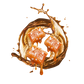 Splash Image