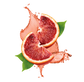 Splash Image