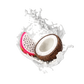 Splash Image