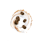 Splash Image