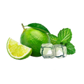 Lemonade Style Virgin Mojito / 30g Probe