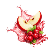 Apple Cranberry / 12 x 330ml
