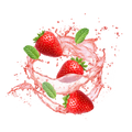 Infused Strawberry Mint / 65ml