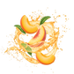 Splash Image
