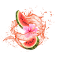 Splash Image