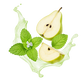 Splash Image